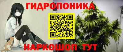 мяу мяу мука Тулун