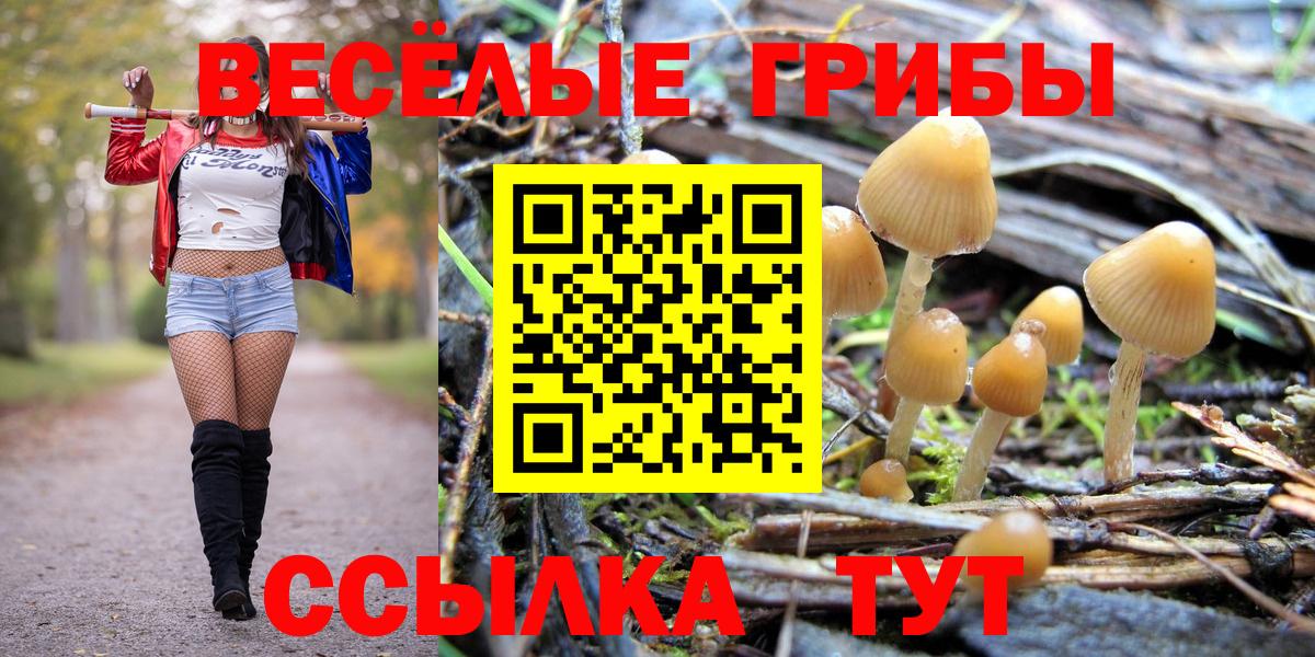 Галлюциногенные грибы Psilocybe  Вход с VPN  Муром  купить закладку  Галлюциногенные грибы прущие грибы 