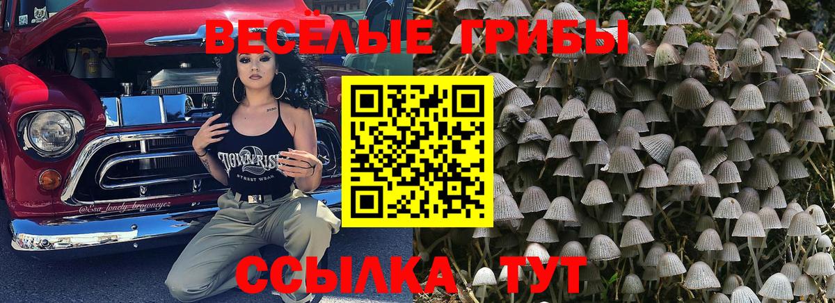 Галлюциногенные грибы прущие грибы Муром