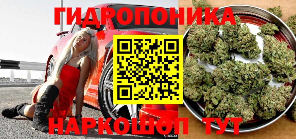 Бошки марихуана White Widow Муром